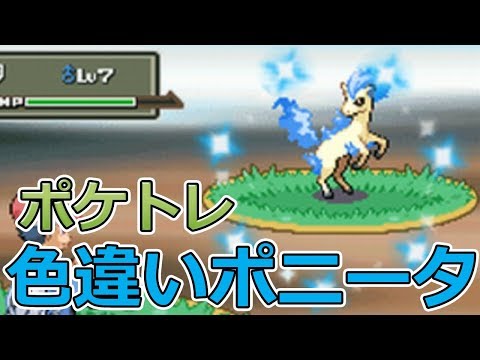 人気ダウンロード ポケモン ダイヤモンド ポニータ シモネタ