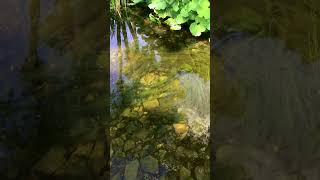 IMG 9115 1