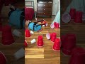 Kaboom videos be like”Funny”Roblox”