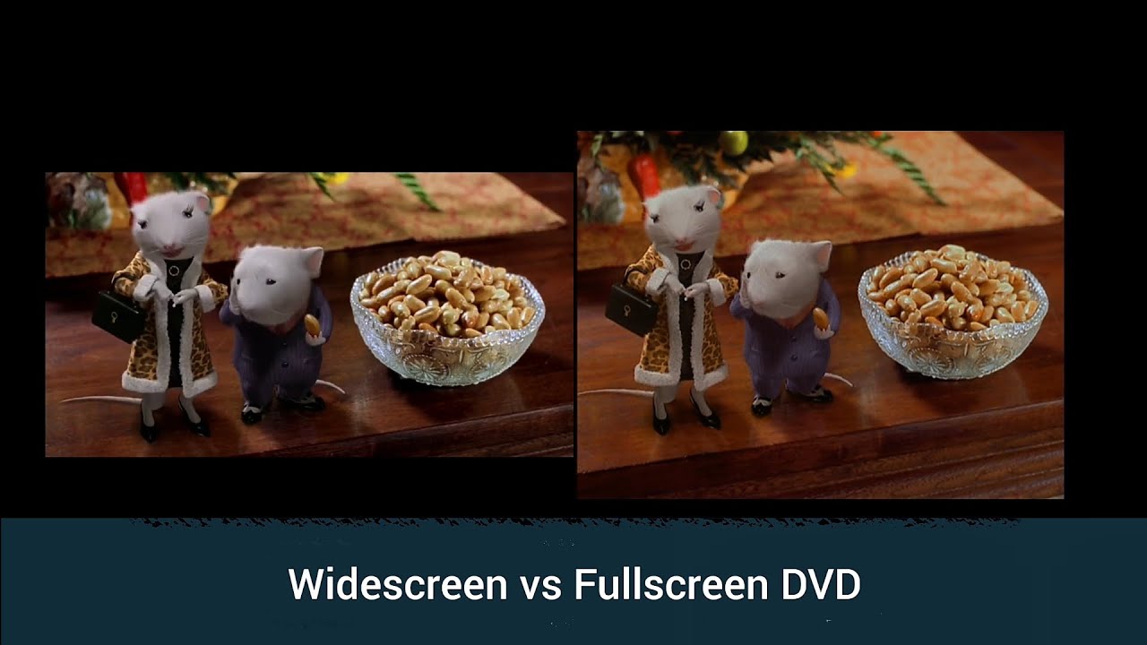 Stuart Little Widescreen vs Fullscreen DVD Fake Stuart's parents scene ...