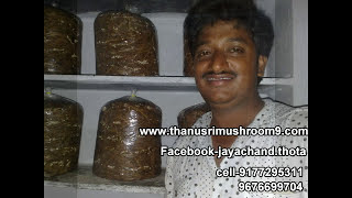Mushrooms Cultivation In Telugu (In The Year Of 2011)