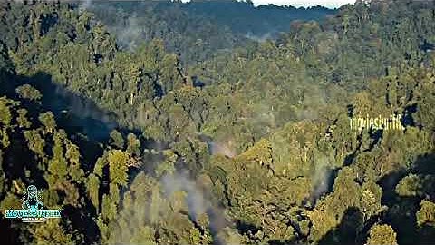 Rise of the planet of the Apes (2011) - opening movieclip [HD]