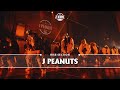 RISE SECTION - J PEANUTS / 2024.12.11 ZEROONE at CLUB CITTA