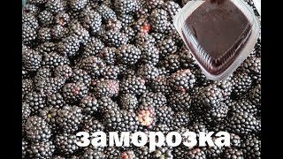 ЗАМОРОЗКА ЕЖЕВИКИ МУСС ЗАМОРОЗКА ЕЖЕВИКИ МУСС