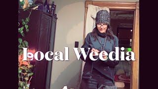 Return From Dispo & Product Testing // Basement Grow (hemp- veg stage, 🍅 , 🪴 training, etc).) 