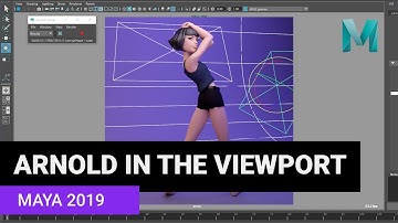 Maya 2019 Arnold In The Viewport!