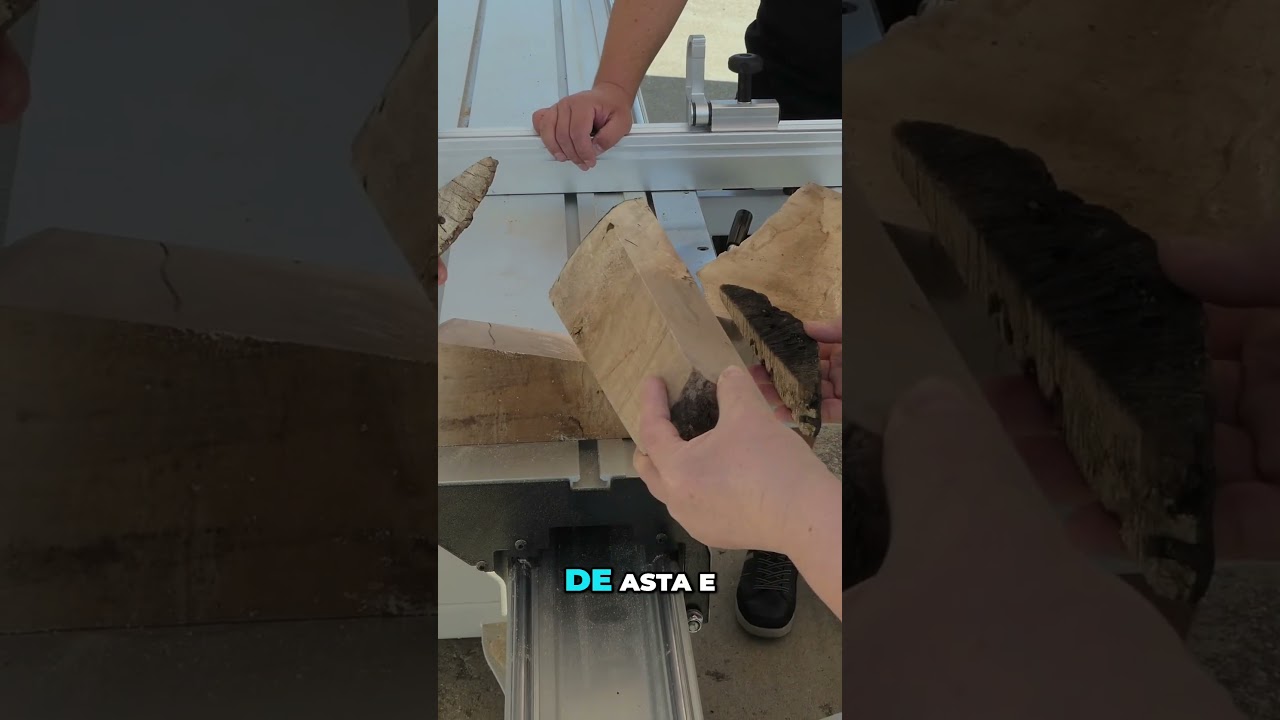 🔨 Lemn netratat? Îți arătăm cum îl transformi într-un scut! 