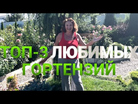 ТОП-3 САМЫХ ЛУЧШИХ ГОРТЕНЗИИ В МОЕМ САДУ | Эти гортензии самые неприхотливые и любимые сорта