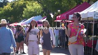 Buying or Selling in Los Altos?