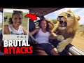 The most brutal big cat attacks marathon 2