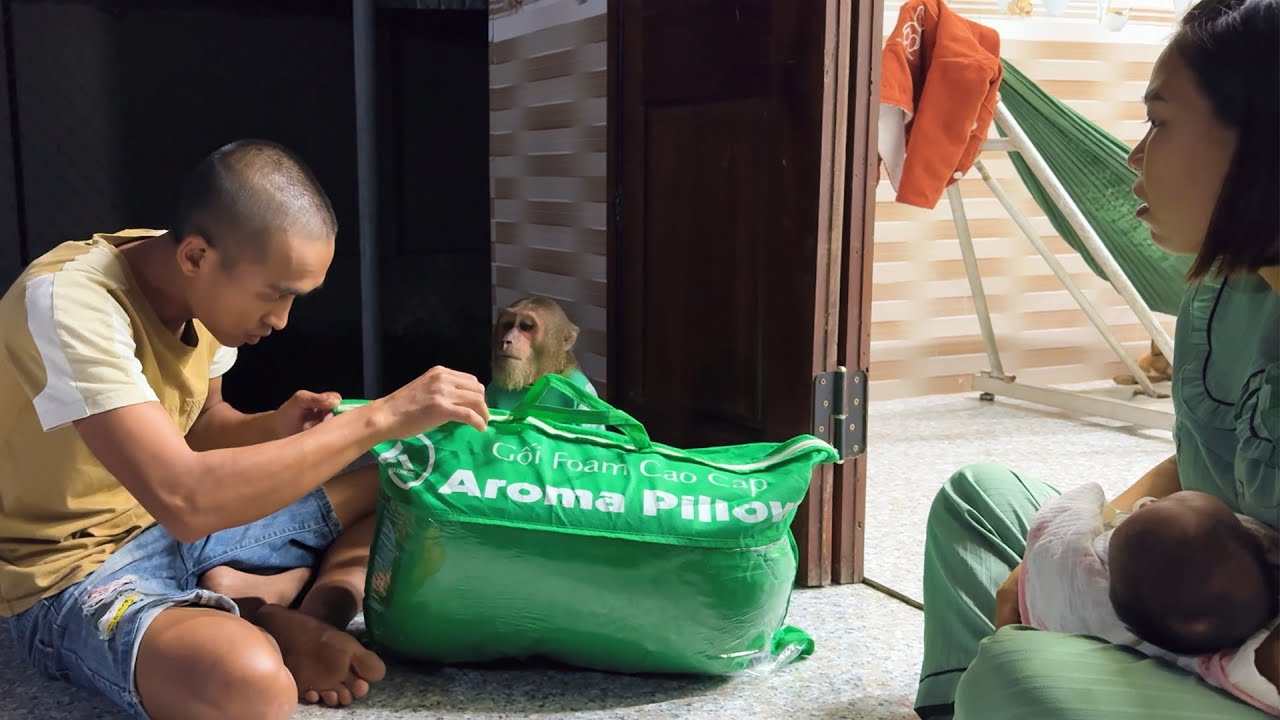 CUTIS secret strange object brought home makes family confused🤔