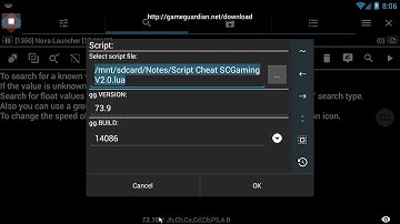Version replacer - GameGuardian
