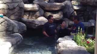 Bradley's Baptism