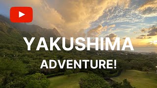 Yakushima Adventure Travel 2020