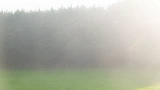 Nature 3