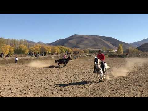 Erzurum Arzen Atlı