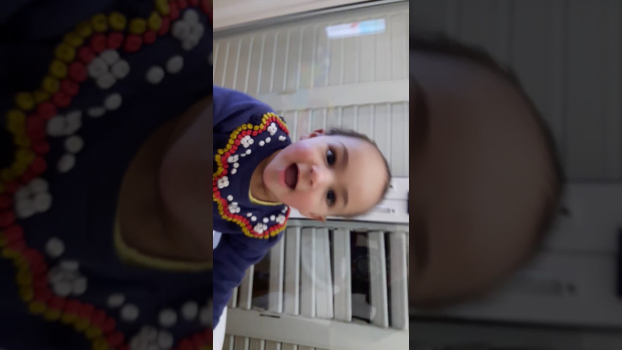 The  star wars  looping chewie