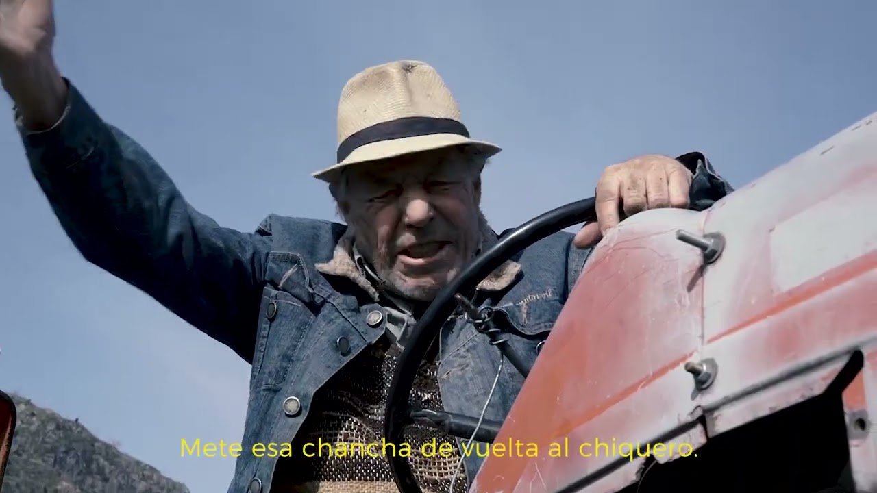 The Mike Cooke Band - 