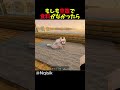 もしも空腹で食料がなかったら #マイクラ #マインクラフト #minecraft #shorts