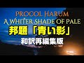 【和訳:青い影】当時の現地情報を知る知人の話を織り込み和訳を再編集いたしました::是非、概要覧もご覧ください。