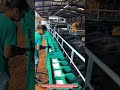 Innovative Calf Feeding System Technology : Best Efficient Milk Distribution