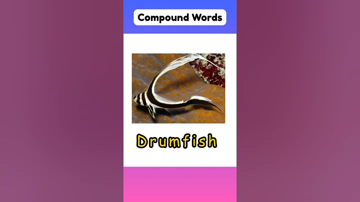 Literal Vs Reality English | Compound Words 🇬🇧 #learning #english #kids #beginner #easy #education
