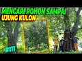 #EPS111 DEHAKIMS AVIARY | POHON RATUSAN TAHUN AKAN MASUK AVIARY? LANGSUNG SURVEI KE UJUNG PULAU JAWA