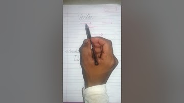 What is Vector   #shorts  #youtube #youtube shorts