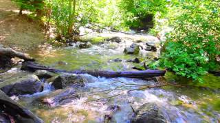 432Hz ~ Schumann&#39;s Resonance Nature Stream - Nature Meditation