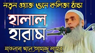 মাওলানা ছালে আহমদ সাহেব নতুন ওয়াজ | Maulana Saleh Ahmed Bangla New Waz ২০২৩ | হালাল আর হারাম