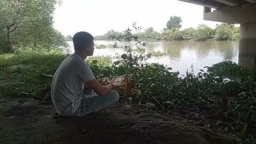 Buổi trưa hóng mát bên gầm cầu bình yên