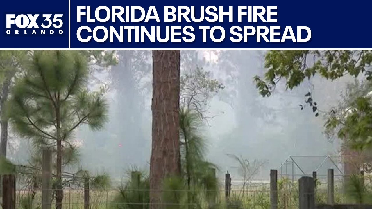 Florida brush fire burns more than 300 acres; officials continue to ...
