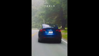 Tesla 🔌🔋🚙 #tesla #shorts #shortsvideo