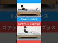 コアラマットレスプラスｖｓリムネマットレス【１分比較】