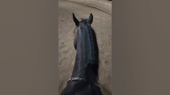 Badras Poco Casanova and Victoria Murphy, bareback...