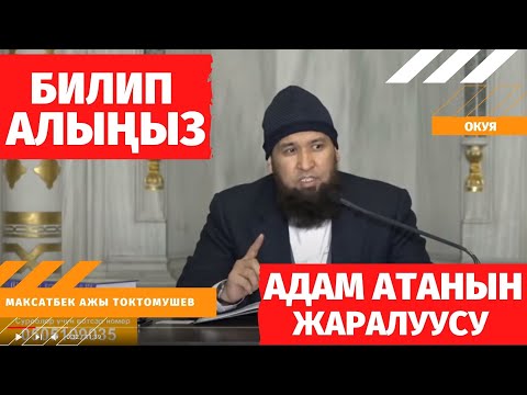 Video: Адам ата Өмүр дарагынан жегенби?