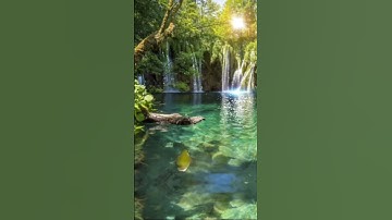 من روائع التلاوة (  ) #قرآن_كريم_راحة_نفسية_ارح_سمعك_وقلبك #اكسبلور #explore #naturelovers #nature