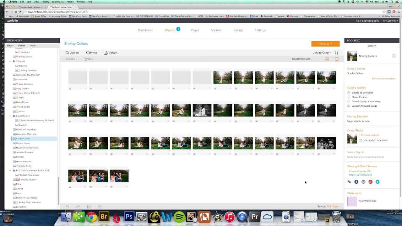 How to Optimize your SEO with Zenfolio Website - YouTube