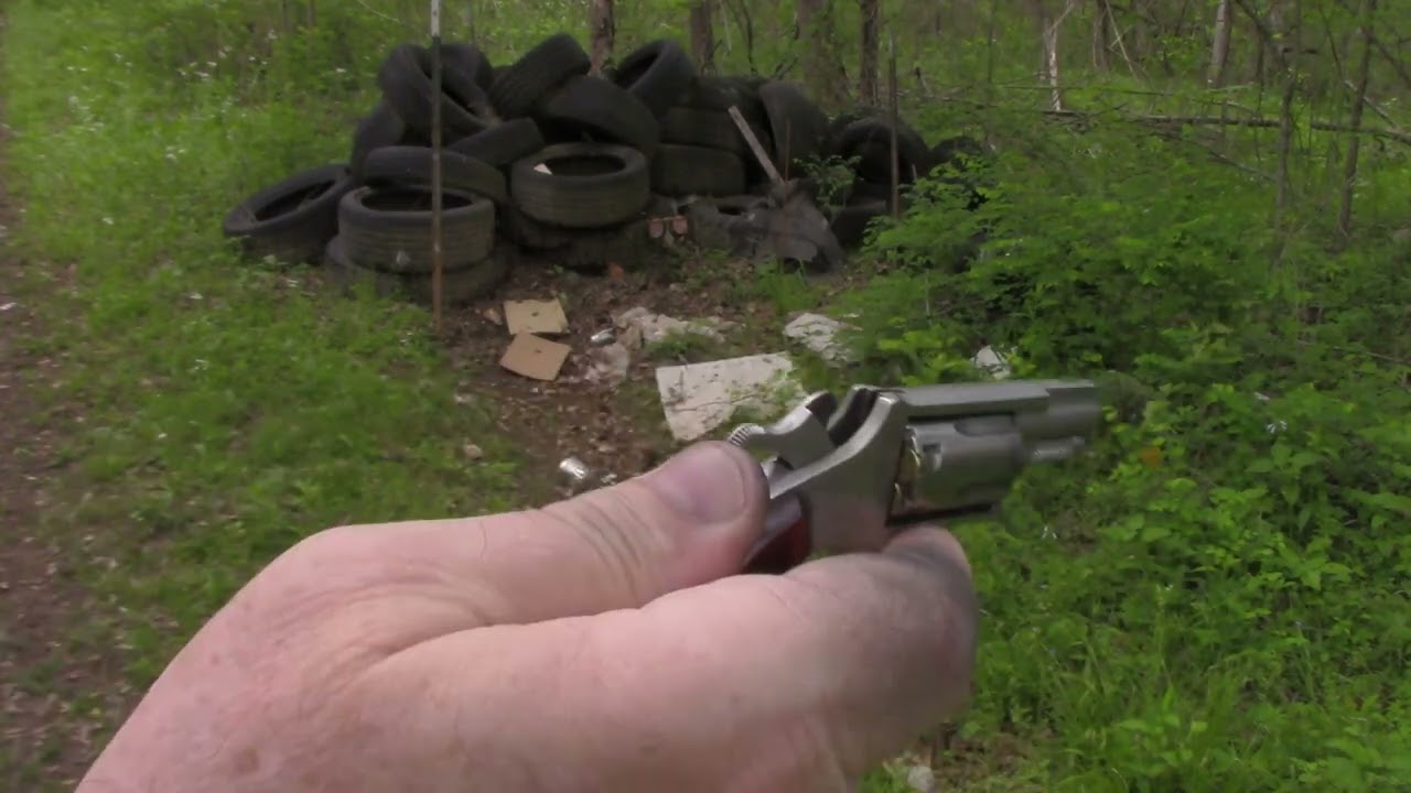 NAA 22LR Mini Revolver