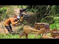 Dig crab in oc at pailin  province  a man digging crab at pailin province    part 56