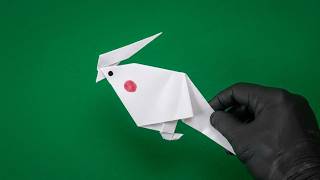 How to make a paper bird, an origami cockatiel. screenshot 1