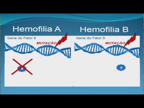 Vídeo: Hemofilia A: Dicas De Dieta E Nutrição