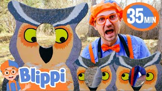 blippi visits a nature center best of blippi toys educational videos for kids