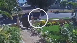 Suspect arrested for allegedly attacking Brentwood mom walking baby