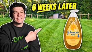 I Put Baby Shampoo on My Lawn: Here’s What Happened