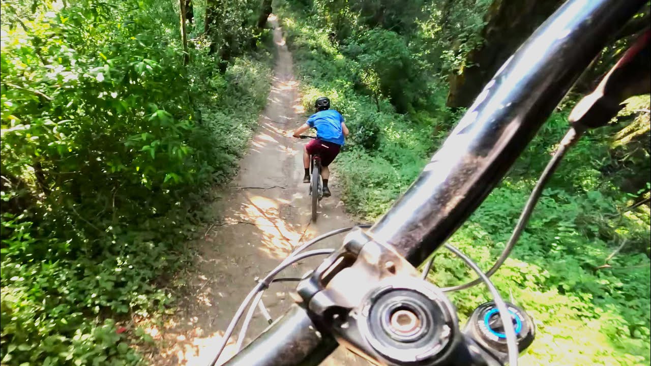 strange day on aptos trails