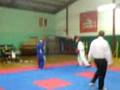 Ucd taekwondo