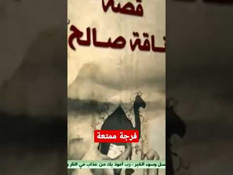 قصة ناقة نبي الله صالح عليه السلام