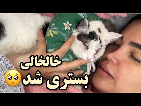 خالخالی بستری شد