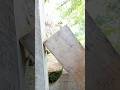 Carpentry tips and practical woodworking skills! #shorts
